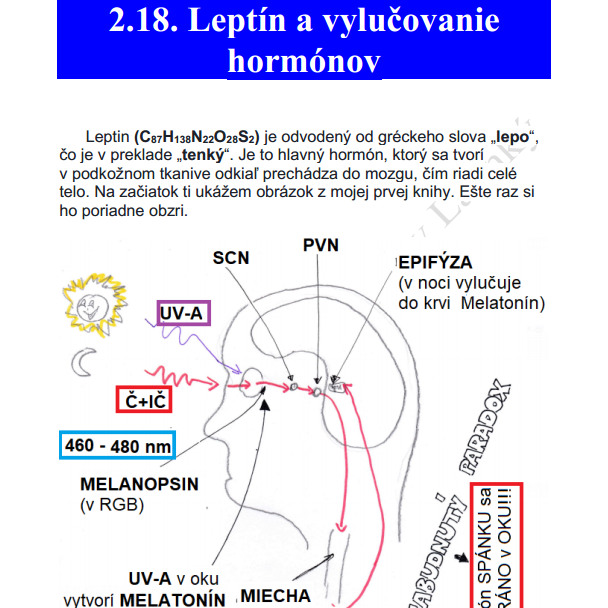 Jaroslav Lachký kniha cirkadiálna biológia leptín hormóny mitochondrie melanopsin melatonin