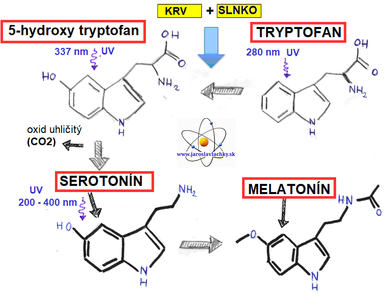 jaroslav lachký melatonín a serotonín tvorba
