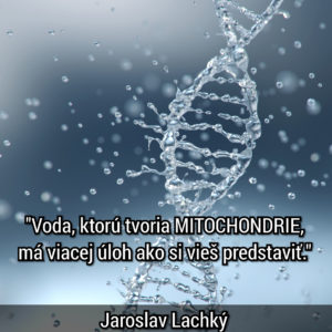 Jaroslav Lachký VODA