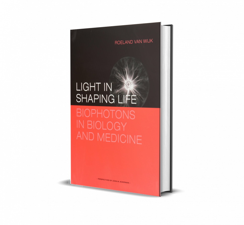 Kniha Roeland Wan Vijk Light in Shaping Life obsah