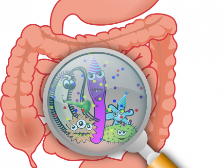 Črevo mozog #5 Mikrobióm a tráviaca sústava