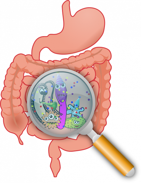 Črevo mozog #5 Mikrobióm a tráviaca sústava