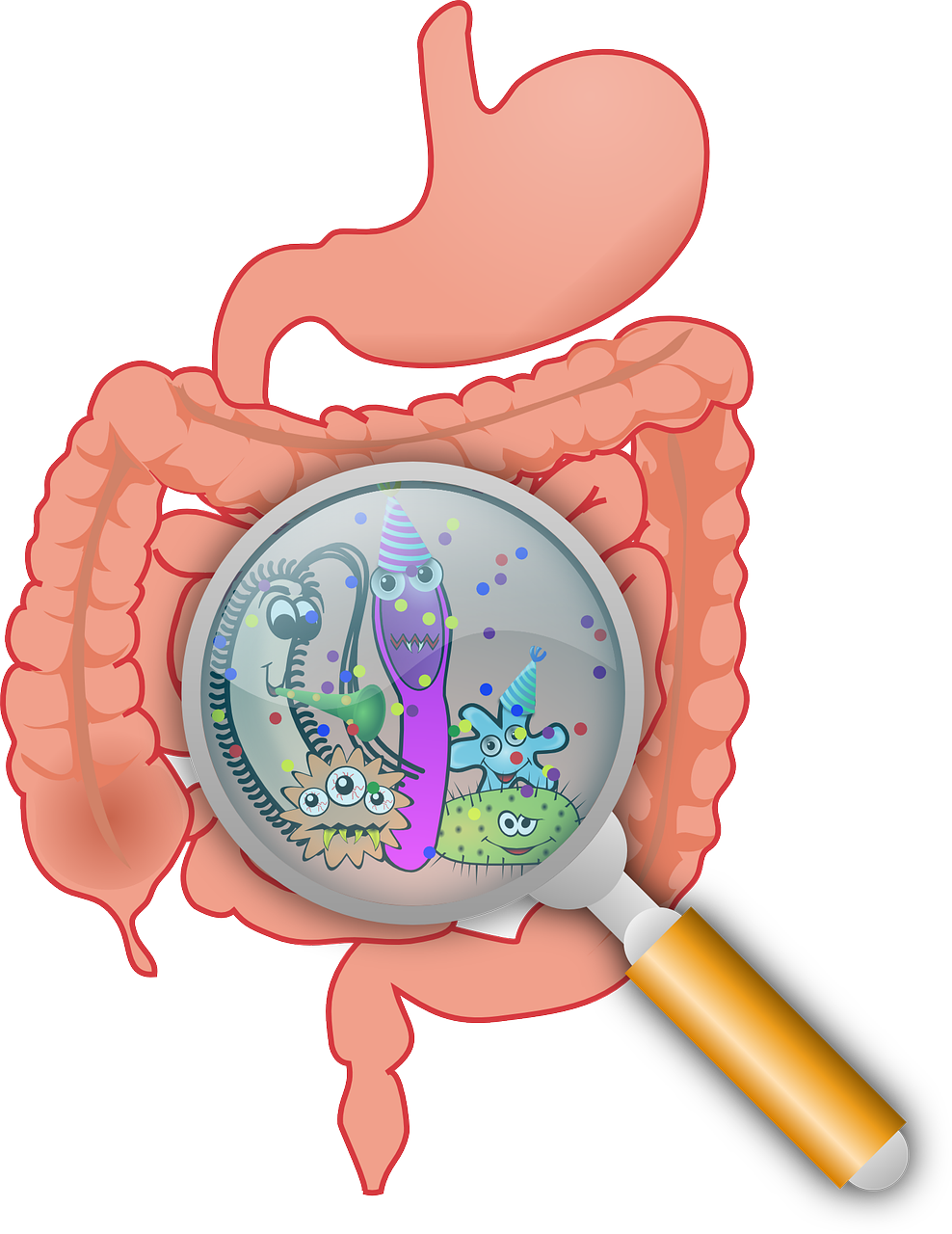 Črevo mozog #5 Mikrobióm a tráviaca sústava