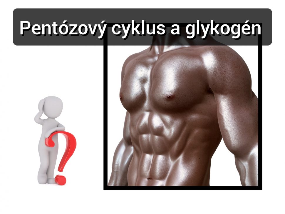 Webinár #20 Pentózový cyklus a glykogén, Jaroslav lachký premium členstvo