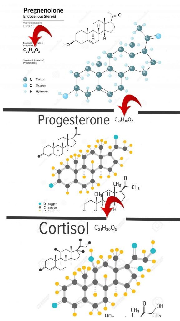 Steroidné hormóny - prognenelón, progesterón a kortizol