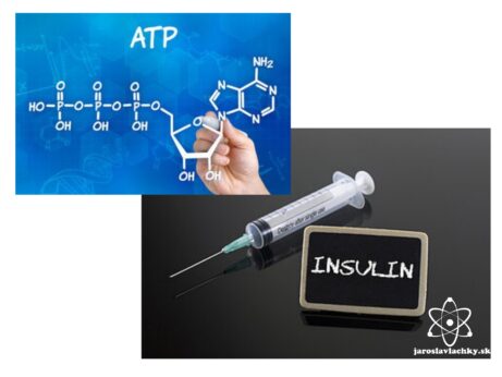 Epigenetika #4 Inzulín a ATP ako Biologický polovodič