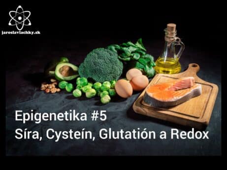 Epigenetika #5 Síra, cysteín, glutatión a Redox