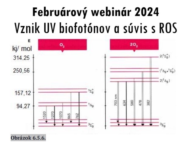 Webinár-Február 2024 - Vznik UV biofotónov a súvis ROS, Jaroslav Lachký prémium Členstvo