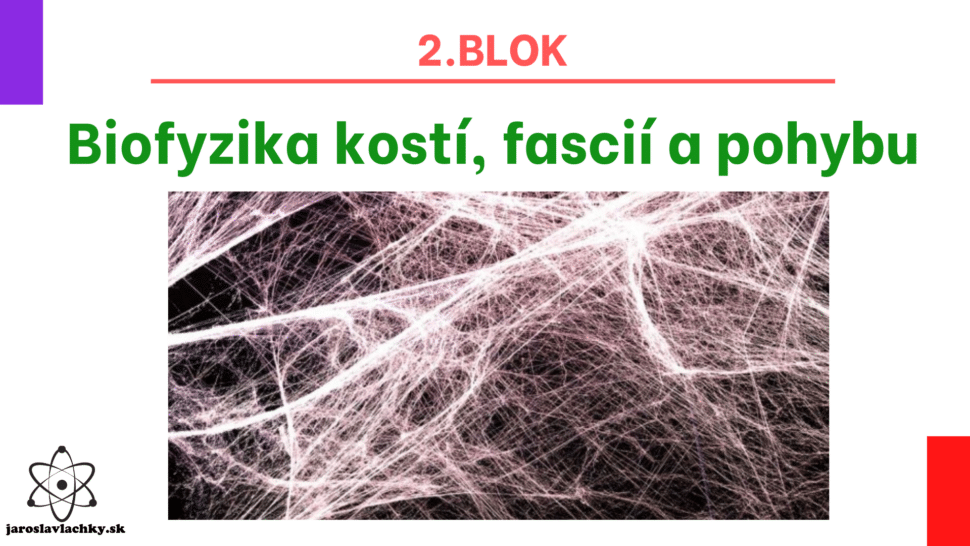 Workshop Fitroom Púchov 20.07 - BIOFYZIKA a BIOmechanika pohybu by Jaroslav Lachký - Ako fungujú fascie, pohyb, kostra a piezoelektrina