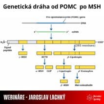 Webinár - Solárny mozoľ pre laikov aj pokročilých - teória aj prax