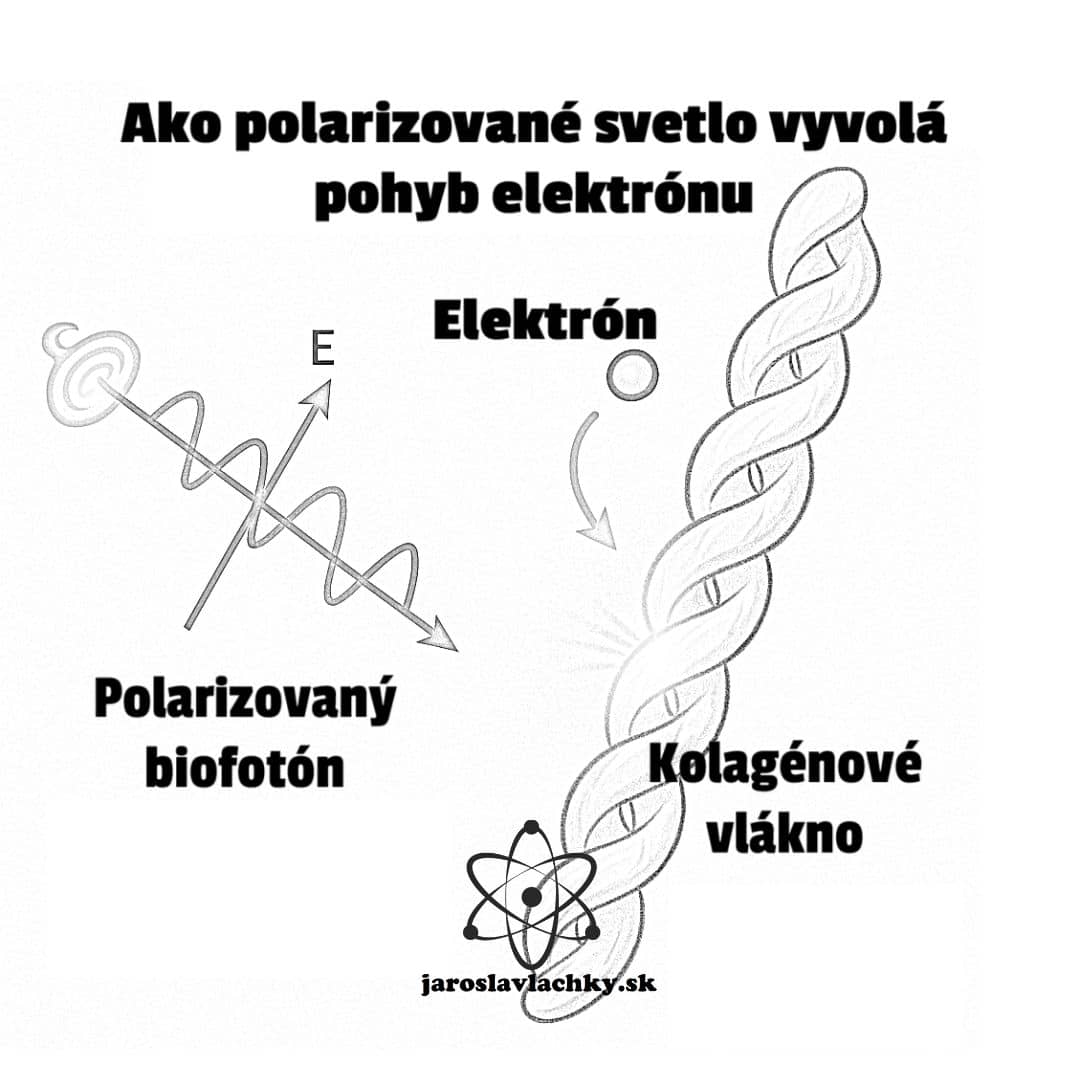 Chiralita #3 Kolagén a absorpcia polarizovaného biofotónu ilustrácia by jaroslav Lachký