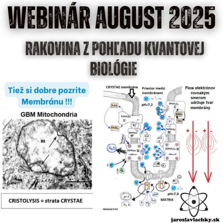 Webinár August 2025 - Rakovina z pohľadu kvantovej biológie by Jaroslav Lachký, prémium členstvo